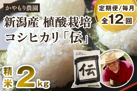 【令和7年産】【定期便12ヶ月毎月お届け】新潟産コシヒカリ「伝」白米真空パック 精米2kg 《9月下旬～順次出荷》 かやもり農園
