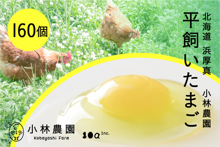 平飼い有精卵 160個【常温便】 たまご 卵 鶏卵 玉子 生卵 平飼い 北海道 [AXAN124]