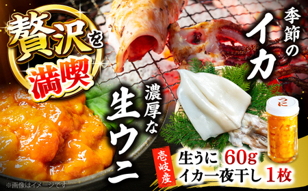 季節のイカ一夜干し1枚＋生ウニ60g 《壱岐市》【合同会社塚元】 [JDR026] ウニ イカ セット