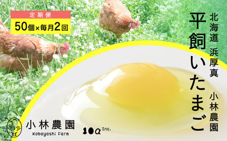 【月2回・1ヵ月定期便】平飼い有精卵 50個 計100個【常温便】 たまご 卵 鶏卵 玉子 生卵 平飼い 定期便 北海道 [AXAN029]