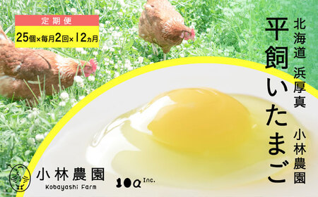 【月2回・12ヵ月定期便】平飼い有精卵 25個 計600個【常温便】 たまご 卵 鶏卵 玉子 生卵 平飼い 定期便 北海道 [AXAN040]