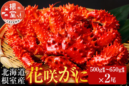 【北海道根室産】花咲かに500g前後～650g前後×2尾 B-70002