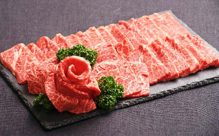 おおいた和牛 焼肉 にピッタリ！ 牛肉 の 食べ比べ セットA（ 上カルビ & 上ロース）（合計約 600g ）3～4人前