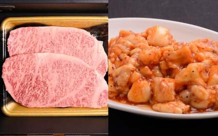 おおいた和牛 サーロインステーキ & ぷりぷり ホルモン （合計約 1kg ） 