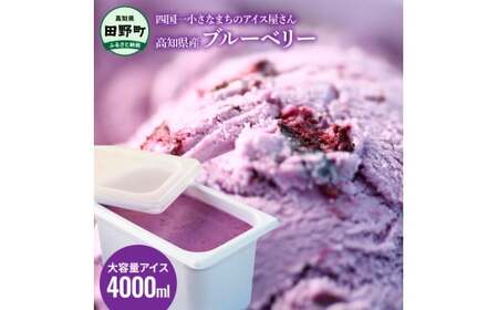≪松崎冷菓≫大容量アイス 4000ml ★ブルーベリー★