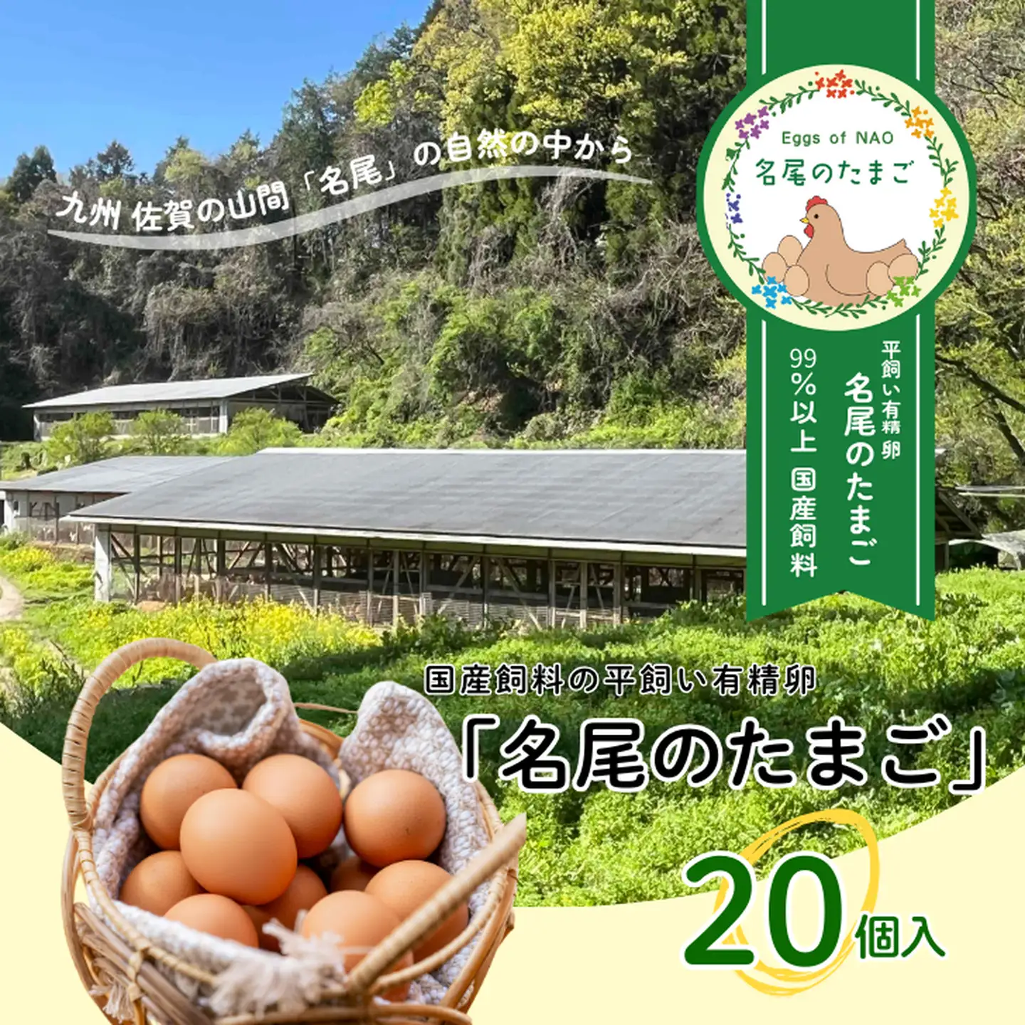 国産飼料の平飼い有精卵 「名尾のたまご」 20個入  たまご 卵 玉子 タマゴ 生卵 新鮮：B110-063
