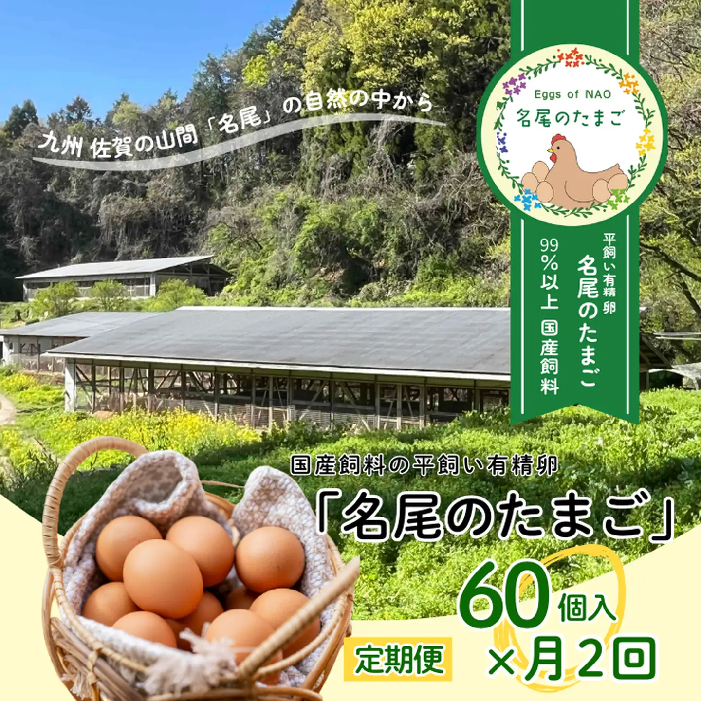 【定期便24回】国産飼料の平飼い有精卵「名尾のたまご」60個入：C520-002
