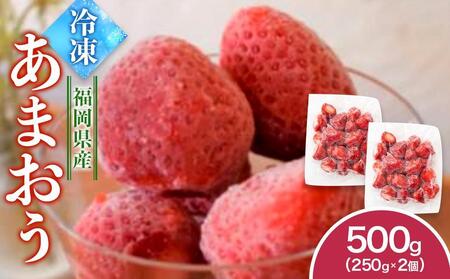福岡県産　冷凍あまおう500g（250ｇ×2個）