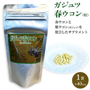 ガジュツ春ウコン（粒）1袋 （約40日分）
