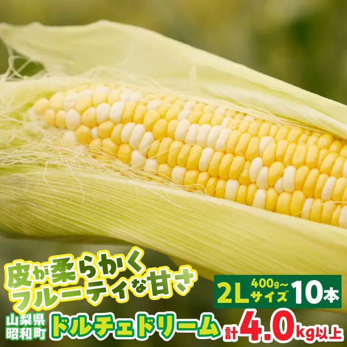 【2026年発送先行予約】山梨県産ドルチェドリーム2Lサイズ×10本セット SWBS005