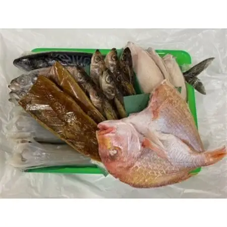 海の京都 橋立やまいちの干物セット 贈答用 D[ 一夜干し 桜干し ギフト ]_魚介・海産物     魚介・海産物  干物 _【配送不可地域：離島】【1583726】
