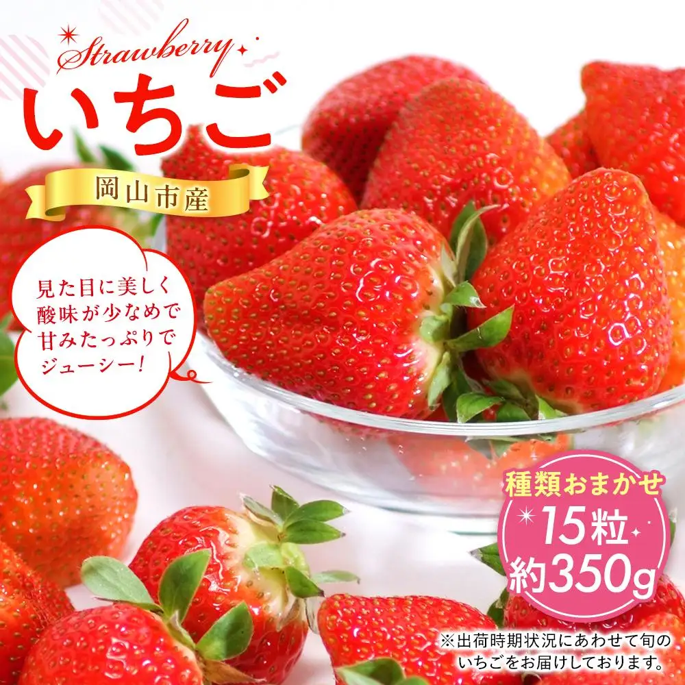 岡山市産 いちご 15粒（約350g）種類おまかせ  2027年3月中旬発送開始