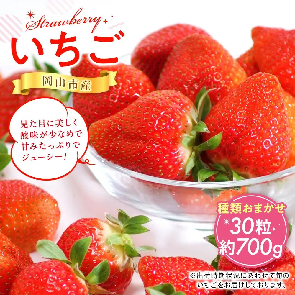 岡山市産いちご 30粒（約700g）種類おまかせ  2027年3月中旬発送開始