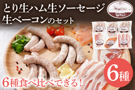 とり生ハム 生ソーセージ 生ベーコンのセット（Lセット） 生ハム 生ウィンナー ベーコン うえすたん セット 詰め合わせ 福岡県 志免町