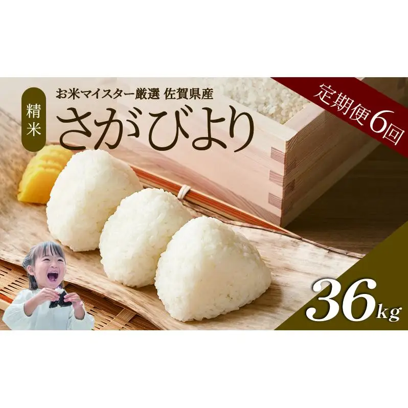 ≪ 定期便 6回 計 36kg ≫ 令和7年産 米 36kg ( 6kg × 6回 ) さがびより 佐賀県産 特A お米 こめ コメ 白米 五つ星 お米マイスター厳選 弁当