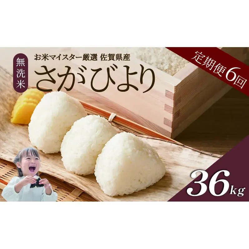 ≪ 定期便 6回 計 36kg ≫ 令和7年産 無洗米 36kg ( 6kg × 6回 ) さがびより 佐賀県産 特A お米 こめ コメ 白米 五つ星 お米マイスター厳選 弁当