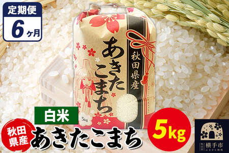 《定期便6ヶ月》あきたこまち 5kg×1袋【白米】令和7年産 秋田県産 こまちライン