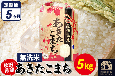 《定期便5ヶ月》あきたこまち 5kg×1袋【無洗米】令和7年産 秋田県産 こまちライン