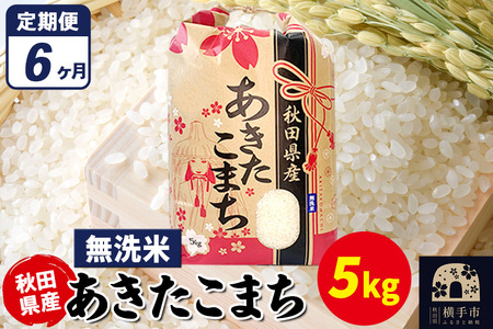 《定期便6ヶ月》あきたこまち 5kg×1袋【無洗米】令和7年産 秋田県産 こまちライン