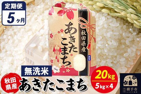 《定期便5ヶ月》あきたこまち 20kg（5kg×4袋）【無洗米】令和7年産 秋田県産 こまちライン