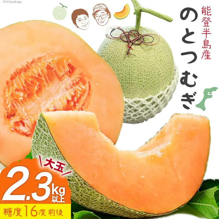 【期間限定】 大玉 赤肉 メロン 能登産 のとつむぎ 約2.3kg以上 [つむぎ会 石川県 中能登町 27ag0021]