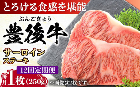 【全12回定期便】おおいた豊後牛 サーロインステーキ 250g (250g×1枚) サーロインステーキ [AREI055]