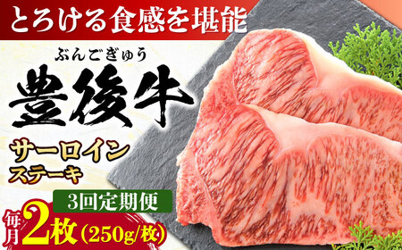【全3回定期便】おおいた豊後牛 サーロインステーキ 500g (250g×2枚)  サーロインステーキ[AREI056]
