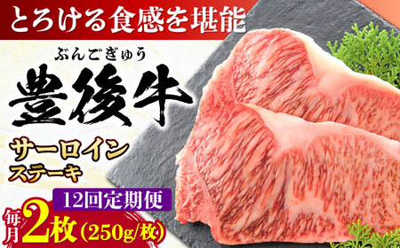 【全12回定期便】おおいた豊後牛 サーロインステーキ 500g (250g×2枚) サーロインステーキ [AREI058]