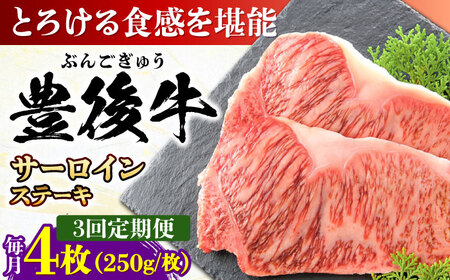 【全3回定期便】おおいた豊後牛 サーロインステーキ 1kg (250g×4枚) サーロインステーキ [AREI059]