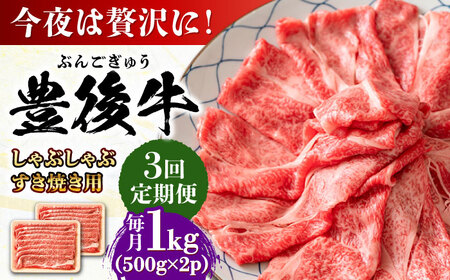 【全3回定期便】おおいた豊後牛 しゃぶしゃぶすき焼き用 (肩ロース・肩バラ・モモ)1kg(500g×2) 日田市 黒毛和牛 牛肉 豊後牛 しゃぶしゃぶ すき焼き [AREI074]