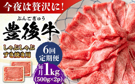 【全6回定期便】おおいた豊後牛 しゃぶしゃぶすき焼き用 (肩ロース・肩バラ・モモ)1kg(500g×2) 日田市 黒毛和牛 牛肉 豊後牛 しゃぶしゃぶ すき焼き [AREI075]