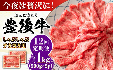 【全12回定期便】おおいた豊後牛 しゃぶしゃぶすき焼き用 (肩ロース・肩バラ・モモ)1kg(500g×2) 日田市 黒毛和牛 牛肉 豊後牛 しゃぶしゃぶ すき焼き[AREI076]