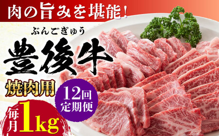 【全12回定期便】おおいた豊後牛 焼肉用 1kg(500g×2P) 赤身 モモ 焼肉  冷凍 豊後牛 BBQ [AREI103]