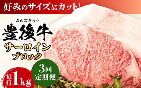 【全3回定期便】【厳選部位】おおいた豊後牛 サーロイン ブロック 1kg 日田市 黒毛和牛 牛肉 サーロイン 豊後牛 サーロインブロック[AREI104]