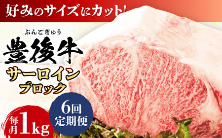 【全6回定期便】【厳選部位】おおいた豊後牛 サーロイン ブロック 1kg 日田市 黒毛和牛 牛肉 サーロイン 豊後牛 サーロインブロック [AREI105]