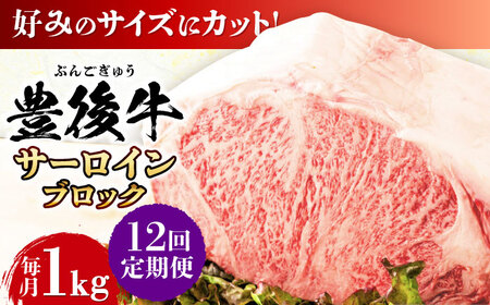 【全12回定期便】【厳選部位】おおいた豊後牛 サーロイン ブロック 1kg 日田市 黒毛和牛 牛肉 サーロイン 豊後牛 サーロインブロック [AREI106]