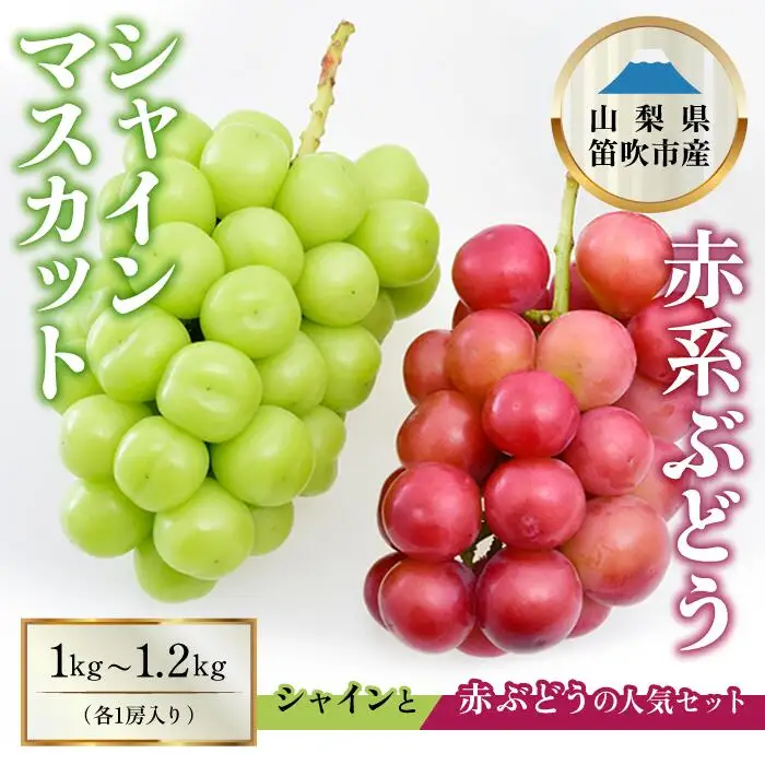 【2026年発送★先行予約】シャインマスカット×赤系ぶどう 1kg～1.2kg ※クール便　154-046-26y