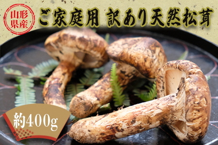 【2026年発送】山形県産ご家庭用訳あり天然松茸（まつたけ）約400g_H204(R8)