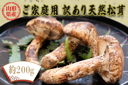 【2026年発送】山形県産ご家庭用訳あり天然松茸（まつたけ）約200g_H205(R8)
