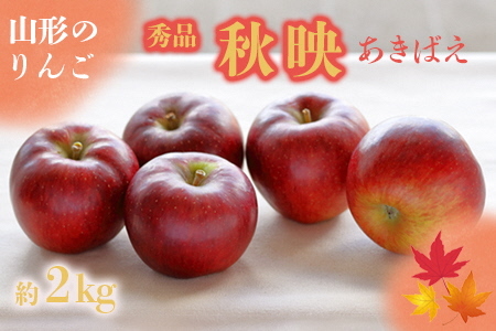 【2026年発送】「秀品」山形のりんご（秋映）約2kg_H211(R8)