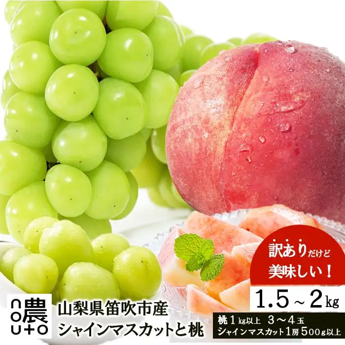 【2026年発送★先行予約】訳あり桃×訳ありシャインマスカット　1.5㎏～2㎏　桃1㎏以上～　シャインマスカット500g以上 ※クール便　154-048-26y