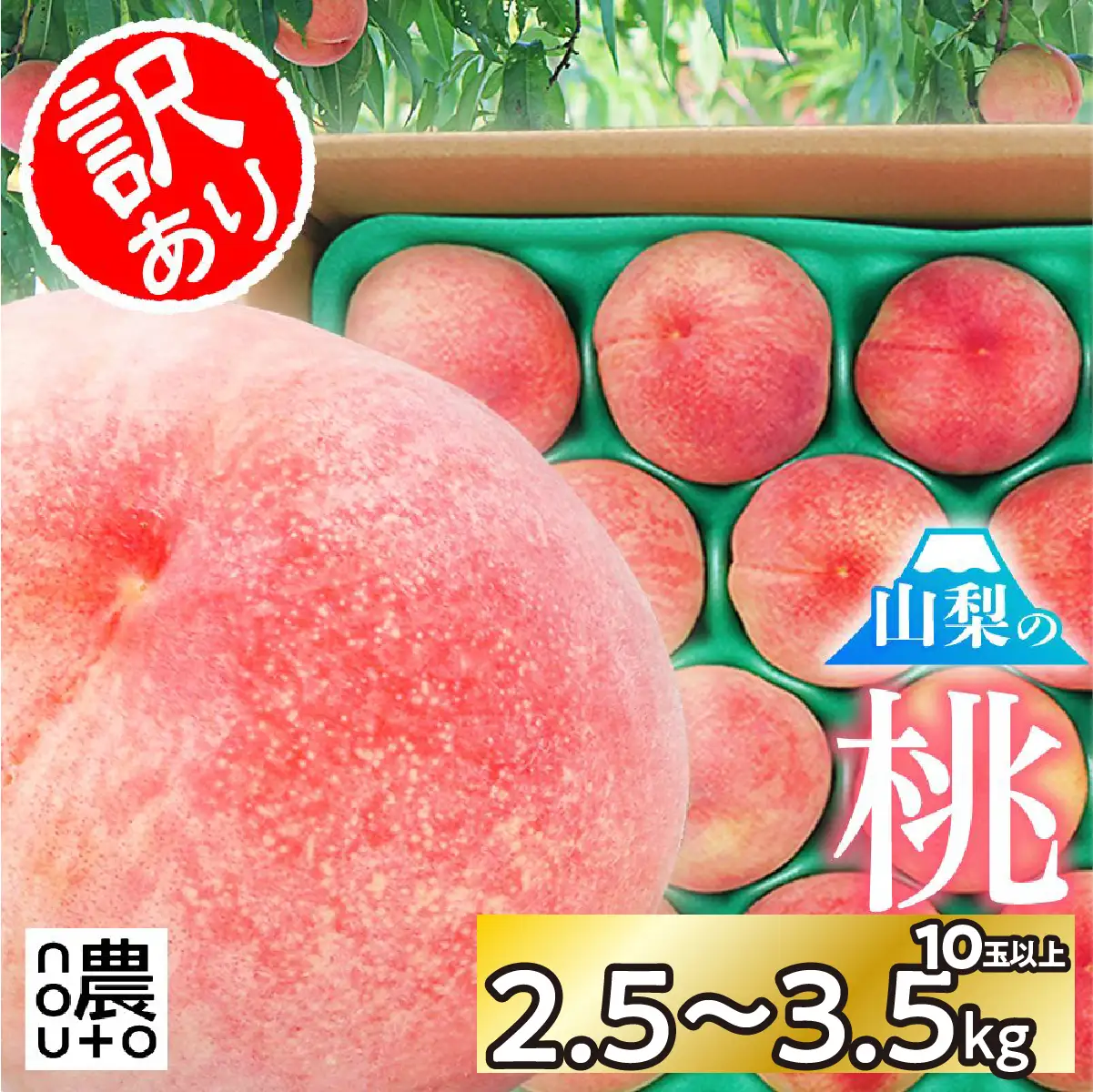【2026年発送★先行予約】訳あり桃10玉以上　2.5㎏～3.5㎏　※クール便　154-049-26y