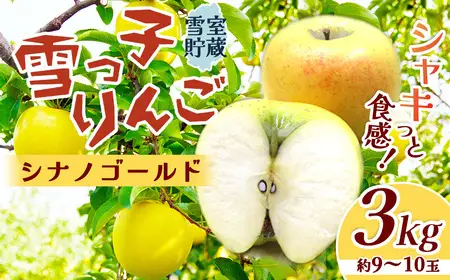 【数量限定 2027年4月発送 予約受付】 りんご 雪っ子りんご3kg | シナノゴールド D0479