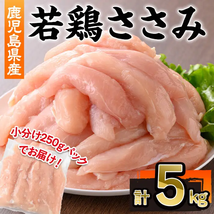 鹿児島県産 若鶏 ささみ(計5kg・250g×20P)【株式会社羽根】A577-v01