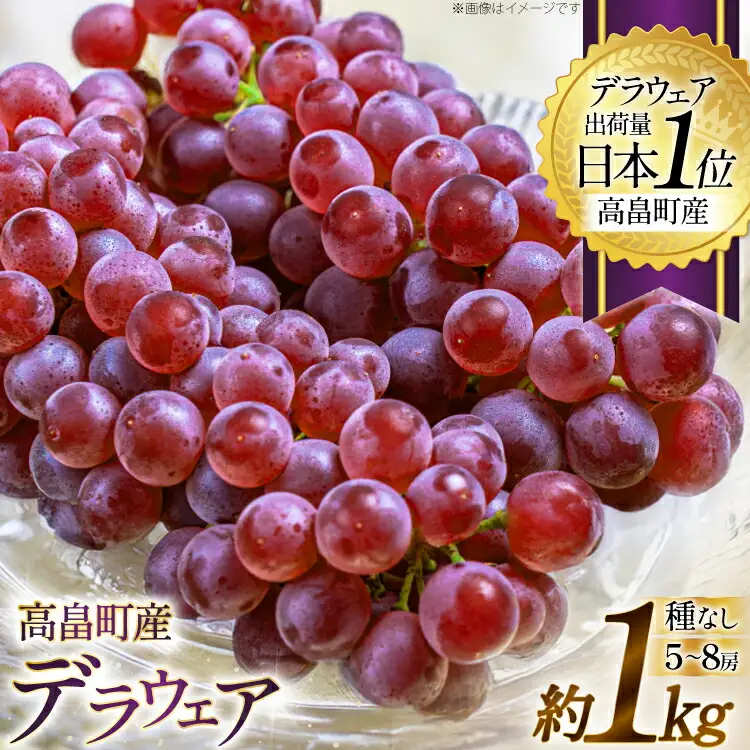 【期間限定発送】 ぶどう デラウェア 5～8房 約 1kg [いわた果樹園 山形県 高畠町 tk06ayt400003]