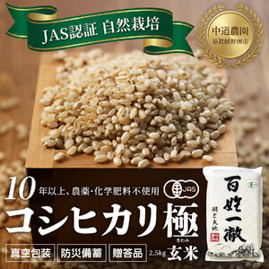 【令和7年産新米】中道農園  JAS認証 自然栽培 コシヒカリ 極 玄米 2.5kg 中道農園の最高級玄米！10年以上、肥料を使わず自然の力で栽培｜無農薬・無肥料栽培｜真空包装 防災備蓄対応｜ふるさと納税 滋賀県野洲市
