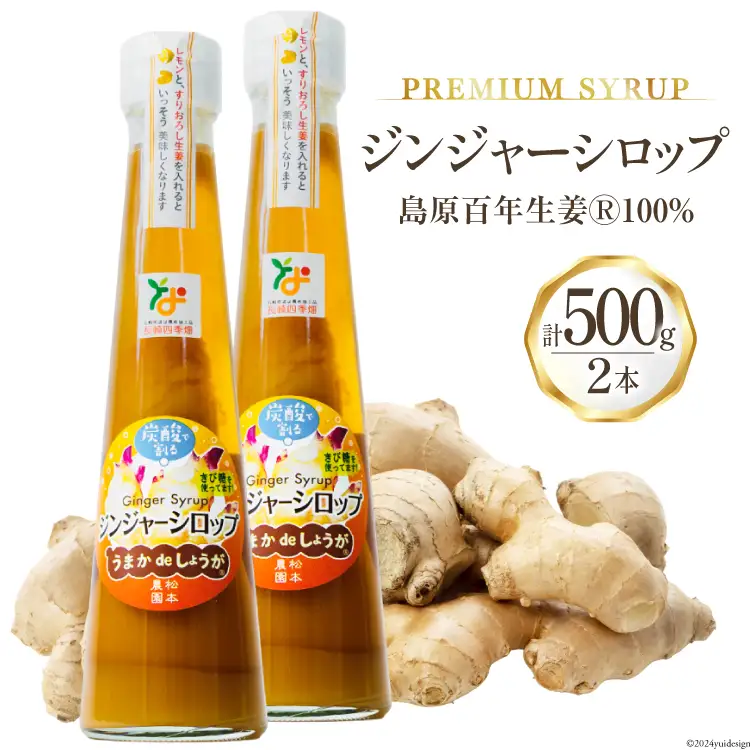 AI201 ジンジャー シロップ 250g 2本 計500g [長崎県 島原市]