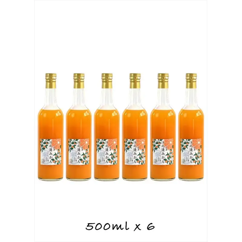 【定期便 12回】小田原産江之浦みかん１００％ストレートジュース５００ml６本【みかんジュース みかんジュース 神奈川県 小田原市 】