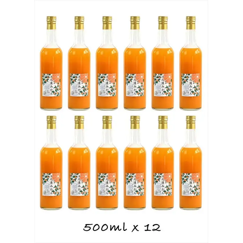 【定期便 12回】小田原産江之浦みかん１００％ストレートジュース５００ml１２本【みかんジュース みかんジュース 神奈川県 小田原市 】