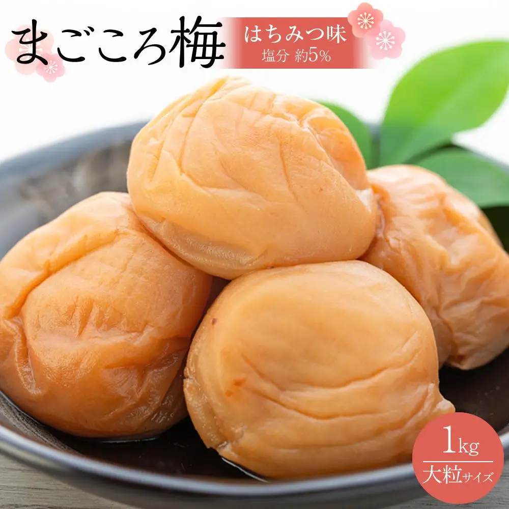 極上 紀州南高梅 まごころ梅 はちみつ 梅干し 3L サイズ以上 1kg 塩分 約5％ 化粧箱入り